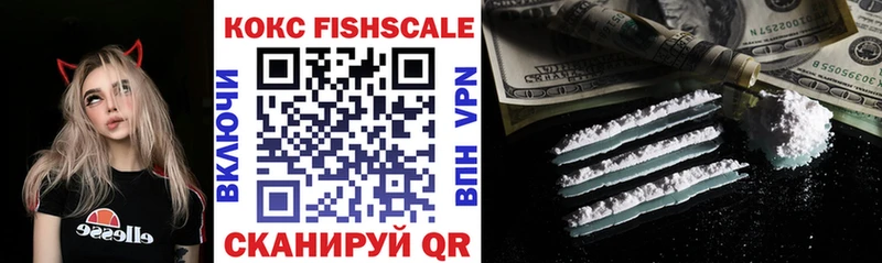 COCAIN FishScale  купить наркоту  ОМГ ОМГ вход  Алатырь 