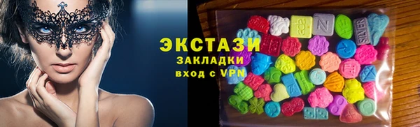 индика Надым