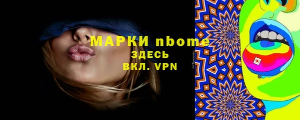 индика Надым