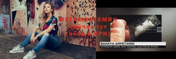 индика Надым