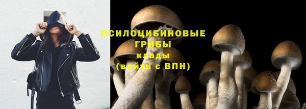 гашик Навашино
