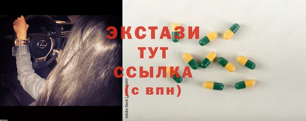 индика Надым