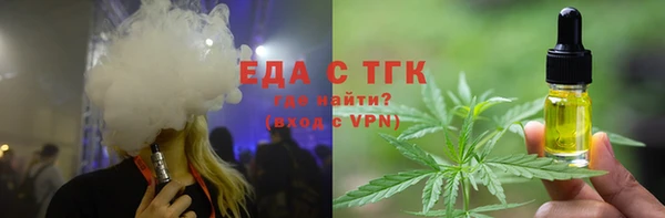 индика Надым