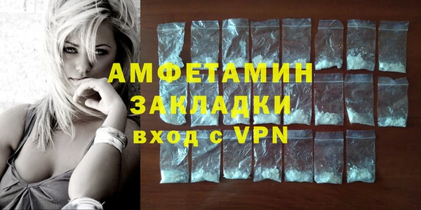 индика Надым