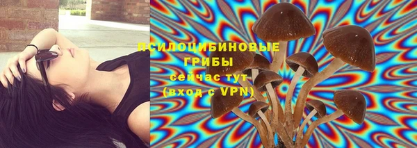 индика Нефтегорск