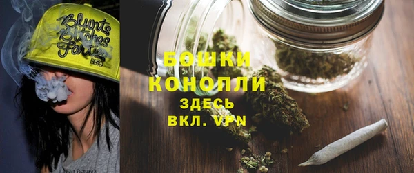 индика Надым