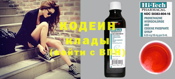 индика Надым