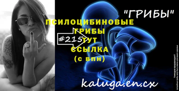 гидра Нея