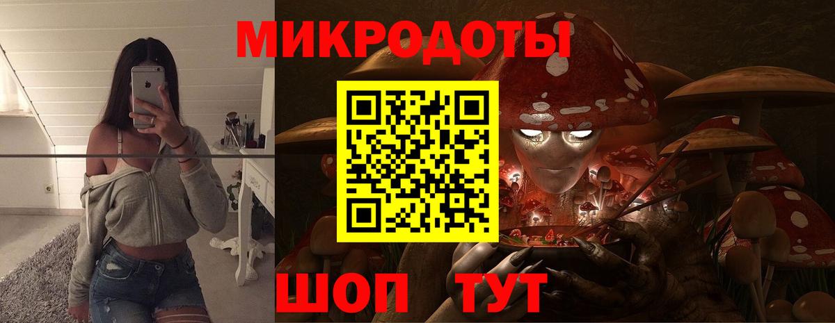 Галлюциногенные грибы MAGIC MUSHROOMS Алатырь