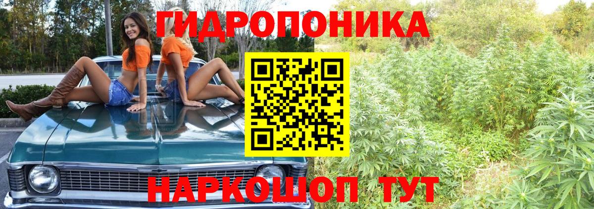 Шишки марихуана конопля Алатырь